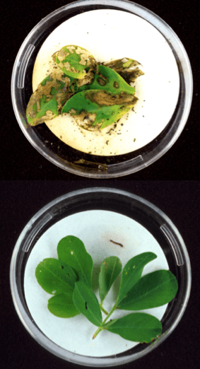 Screen shot 2012-07-20 at 10.33.18 AM