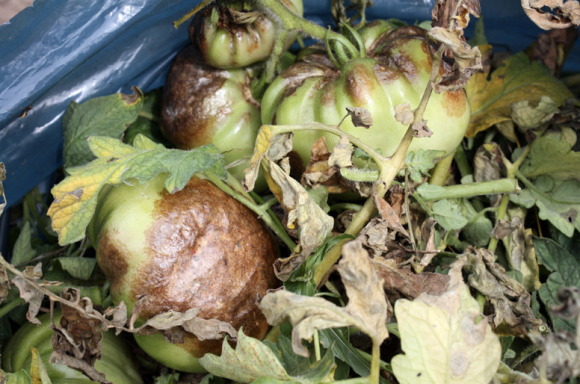 Screen shot 2012-07-26 at 10.40.51 AM