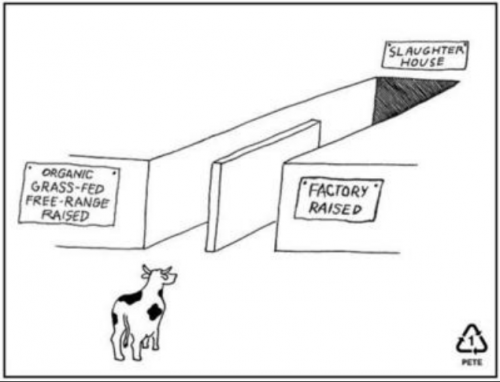 Screen shot 2012-04-06 at 12.47.06 PM